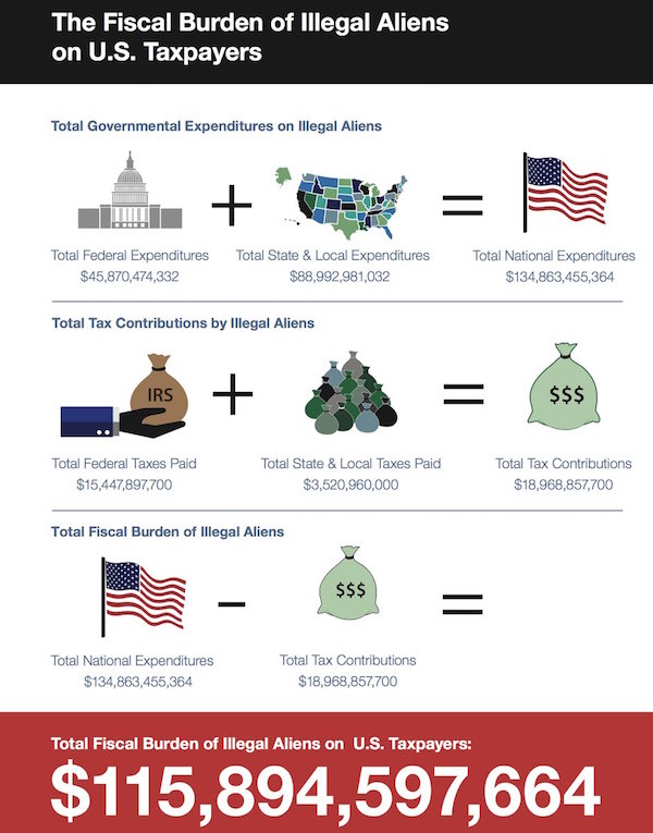 Net annual cost of illegal immigration